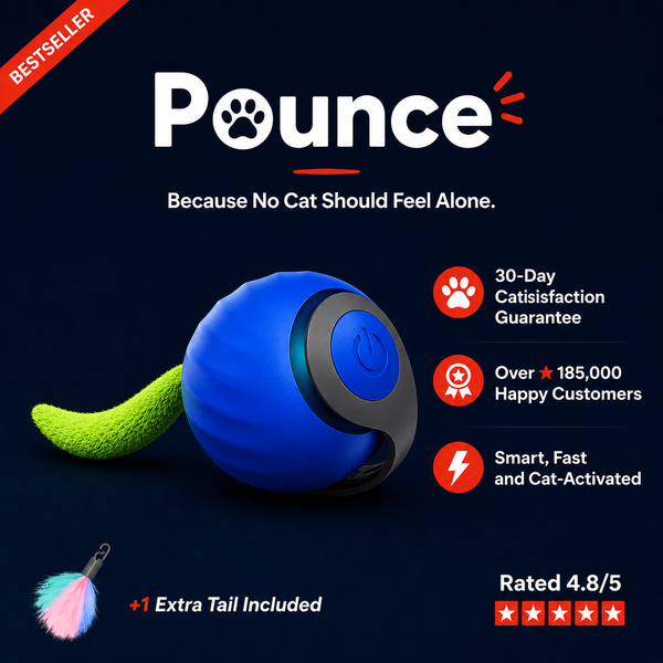 The Pounce Ball
